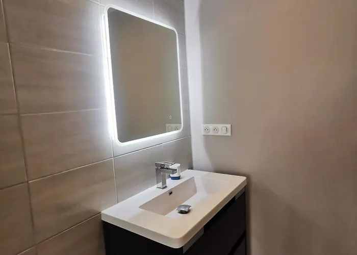 Apartment Le Petit Brooklyn Design Vue Riviere 2 Ch 2 Sdb Coeur De Strasbourg