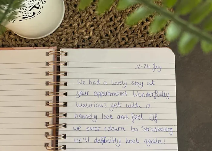 Apartment Le Petit Brooklyn Design Vue Riviere 2 Ch 2 Sdb Coeur De Strasbourg