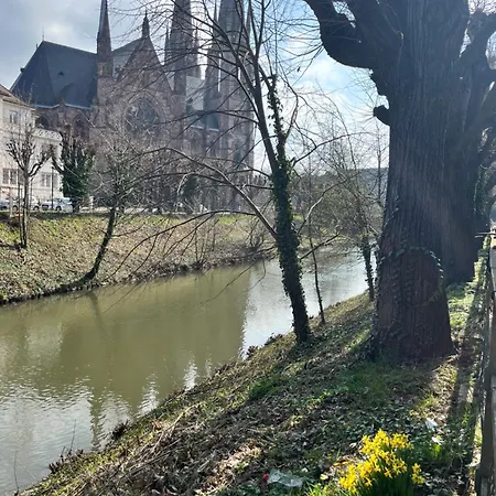 公寓 Le Petit Brooklyn 斯特拉斯堡