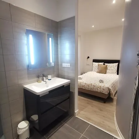 公寓 Le Petit Brooklyn 斯特拉斯堡